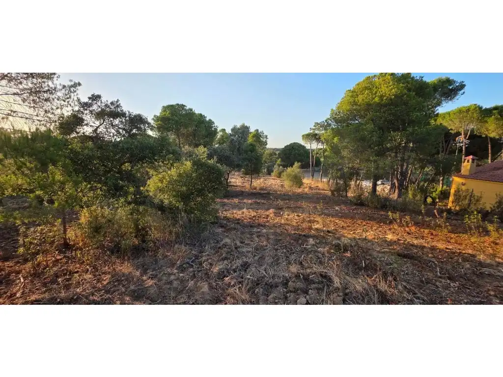 Terreny residencial en venda a Villablanca, imagen 2