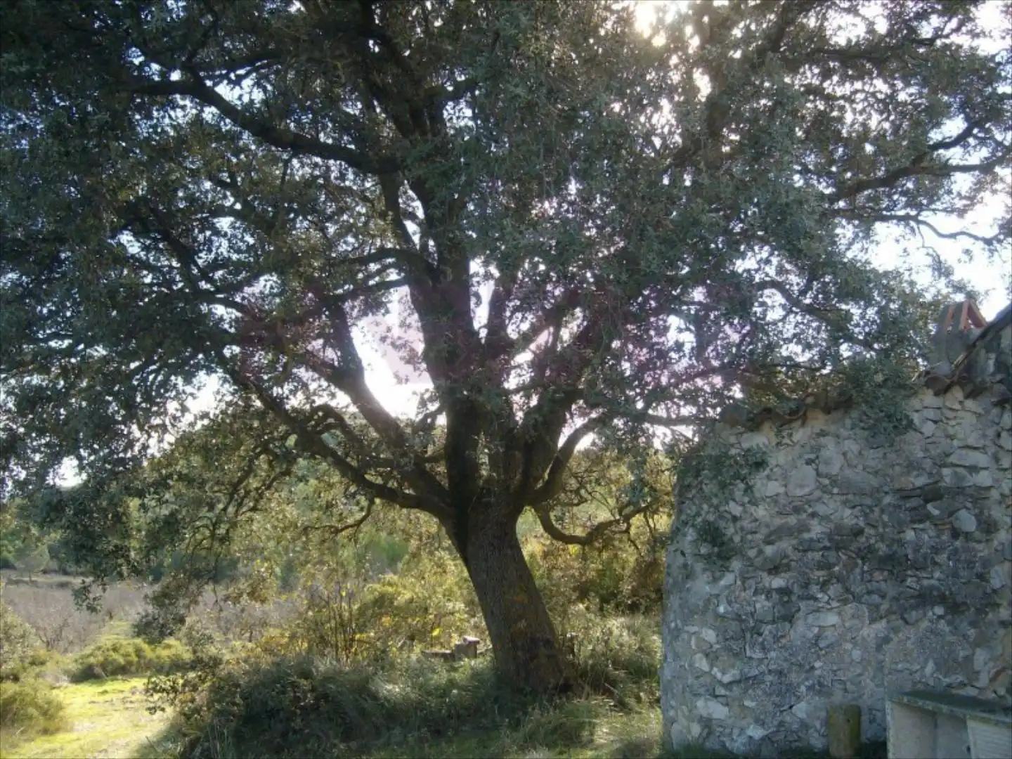 Terrain rustique à vendre à Riba-roja de Túria