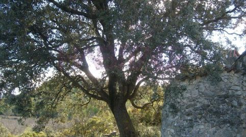 Finca de regadio en ribaroja, 40 hanegadas