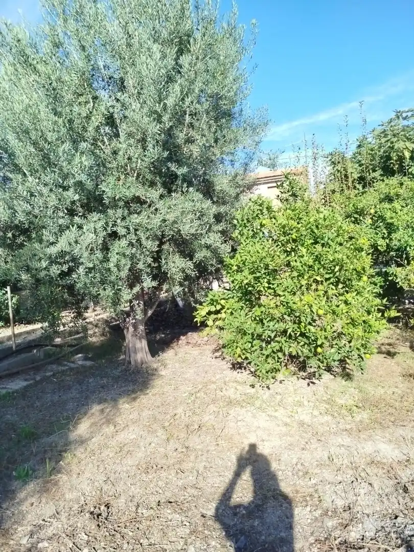 Country homes for sale in Murcia