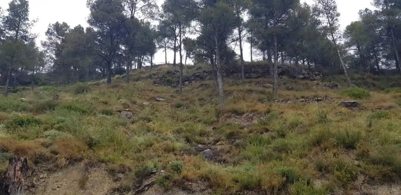 Residential land for sale in Penedès, imagen 23