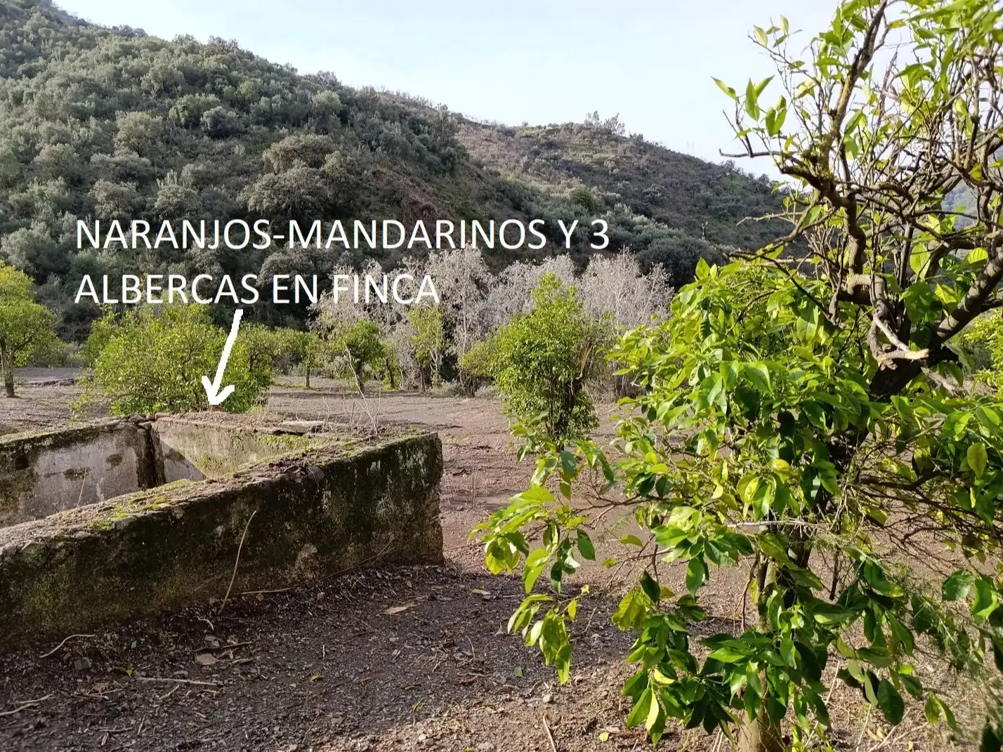 Terreno en venta en Málaga