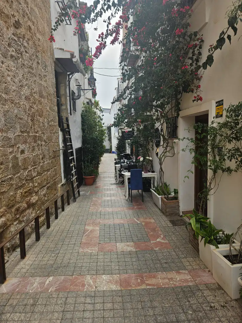 Außenansicht von Geschaftsraum zur ubertragung in Marbella mit Klimaanlage, Terrasse und Möbliert