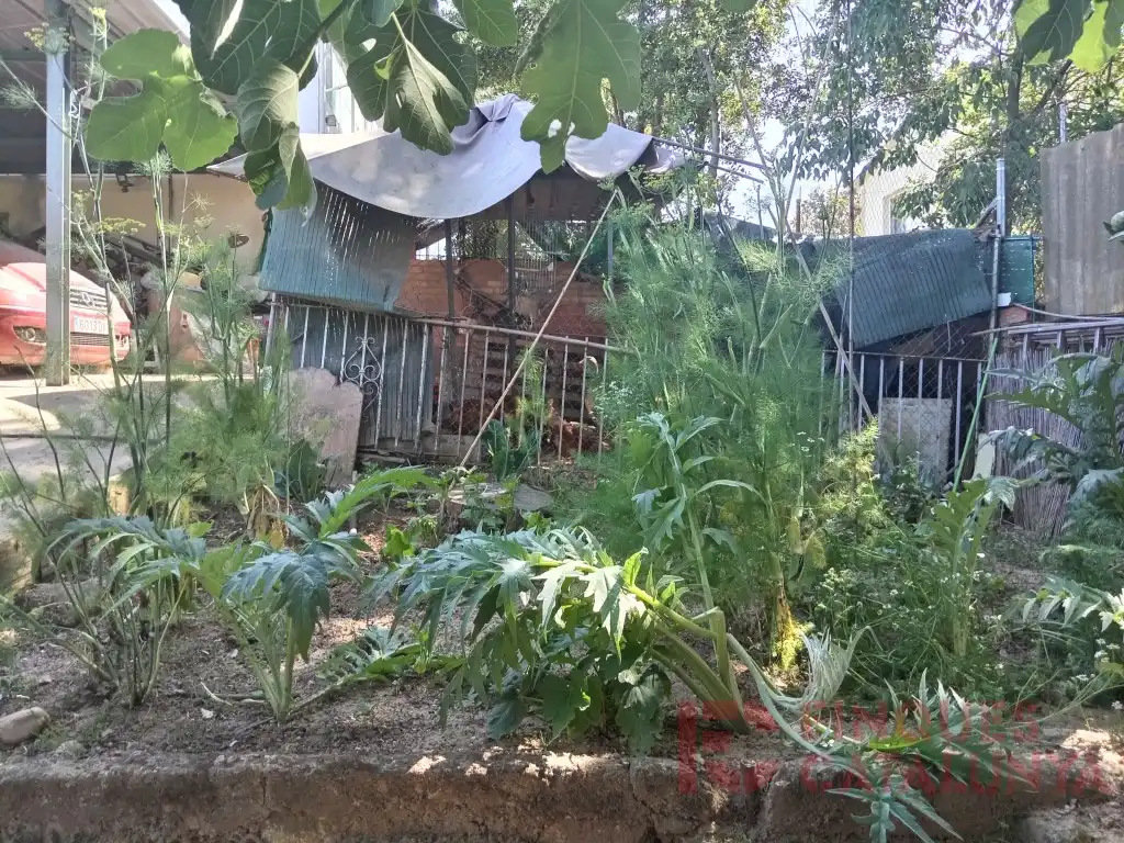 Jardí de Casa o xalet en venda en Vilobí d'Onyar
