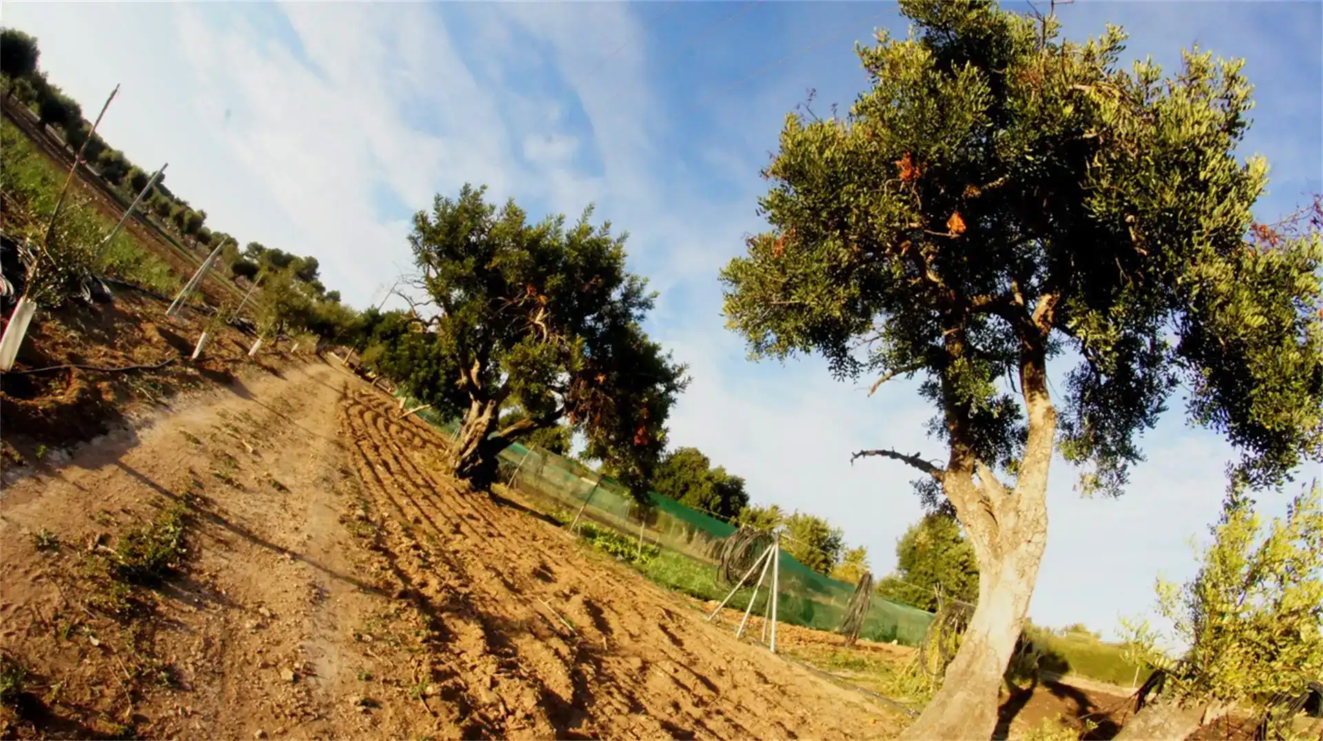 Garden of Land for sale in Cambrils