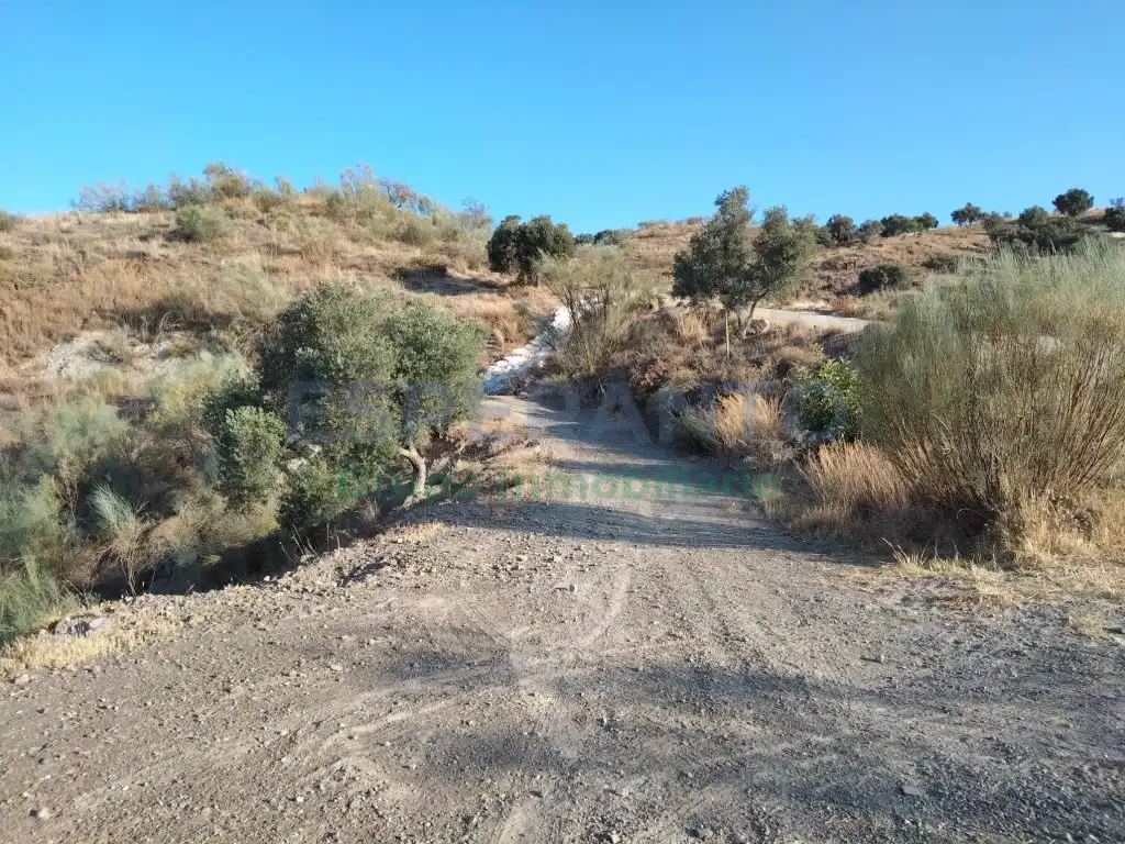 Terreno residencial en venta en Este, imagen 22