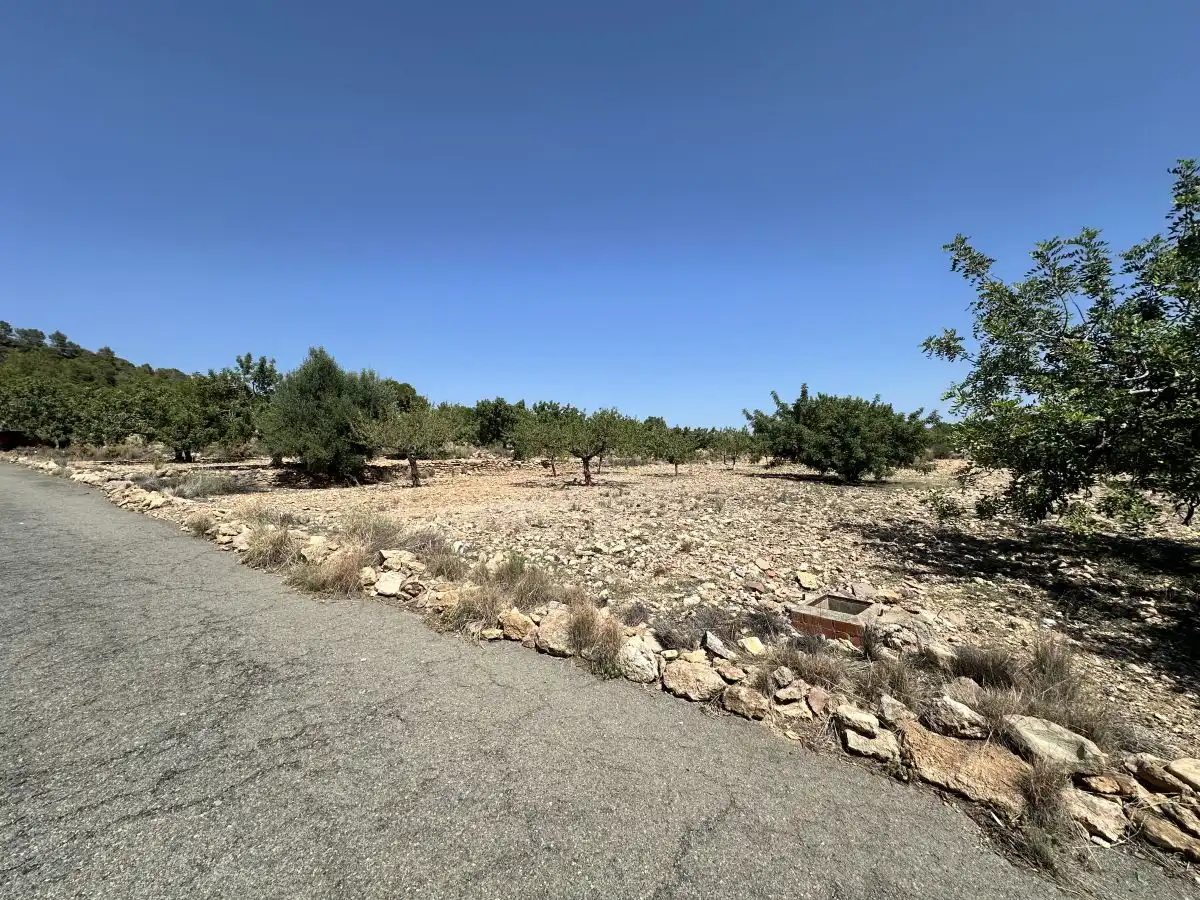 Terreno residencial en venta en Alfara de la Baronia, imagen 24