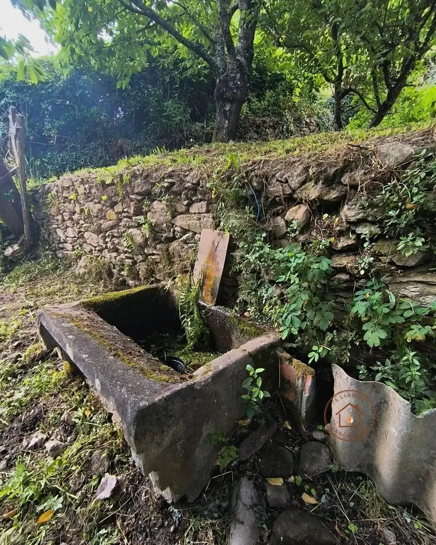 Jardí de Casa o xalet en venda en Pantón amb Calefacció, Jardí privat i Terrassa
