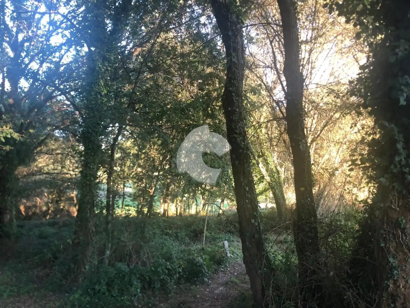 Terreni e lotti in vendita a Nogueira de Ramuín, imagen 53