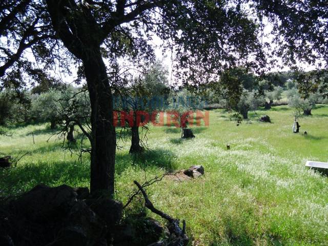 Finca rústica en Venta en Belvís de Monroy