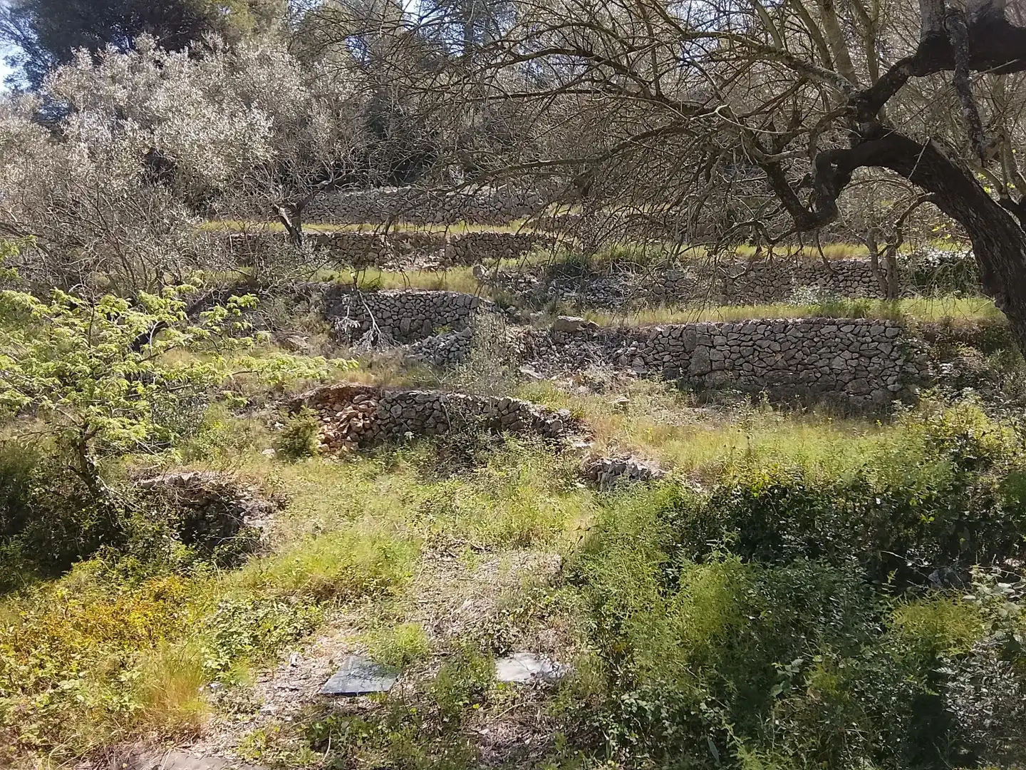 Maison rustique à vendre à Camí de la Finca del Governador, imagen 7