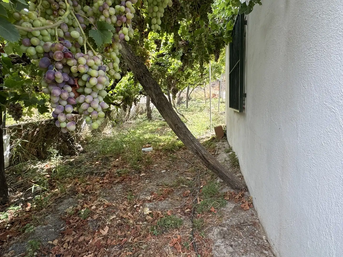 Terreny en venda en Ohanes