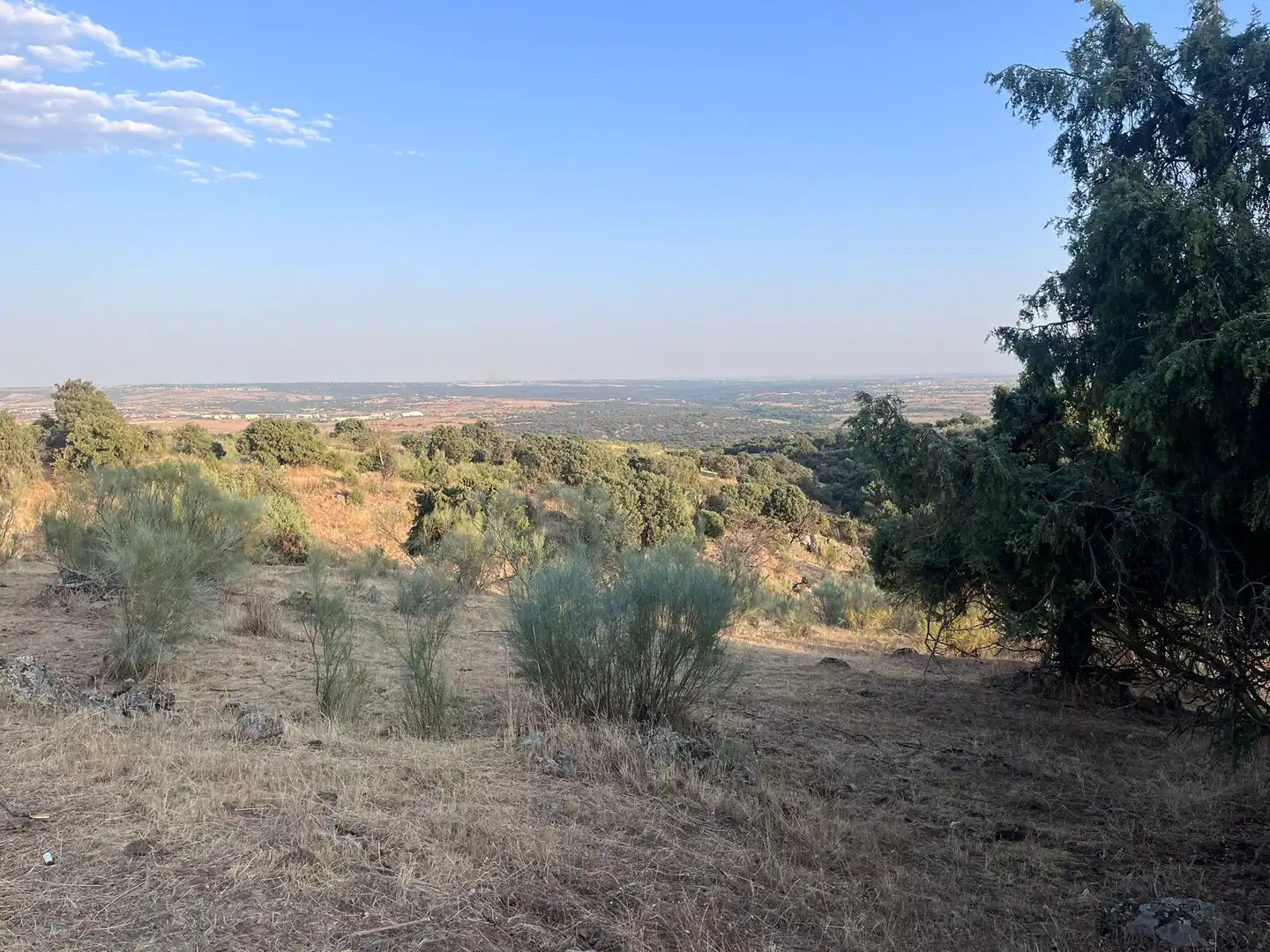 Terrain rustique à vendre à Colmenarejo, imagen 5