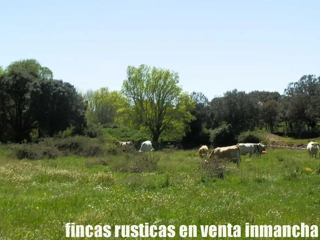 Terreno rustico in vendita a Ciudad Rodrigo, imagen 23