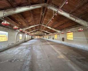Exterior view of Industrial buildings for sale in Cabanillas
