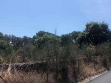 Terreni e lotti in vendita a CIBRAO DAS VIÑAS LAXEDO, POLIGONO 1