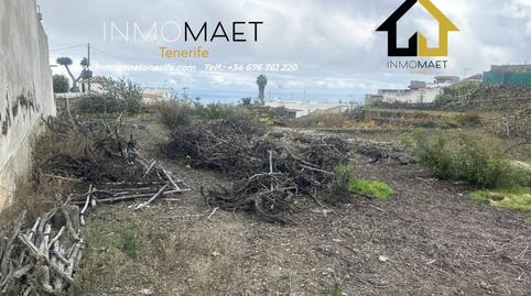 Foto 3 de Residencial de lloguer a La Vega - El Amparo - Cueva del Viento, Icod de los Vinos