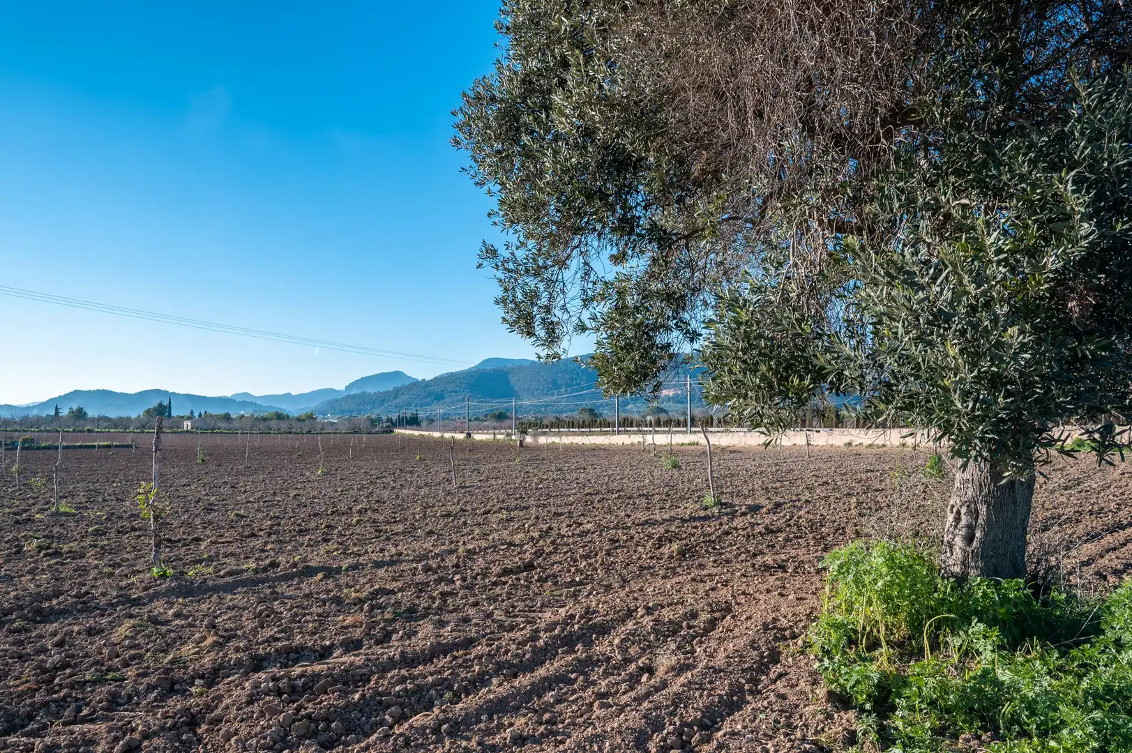 Residencial en venta en Diseminado Poligono 9, 394, Es Blanquer