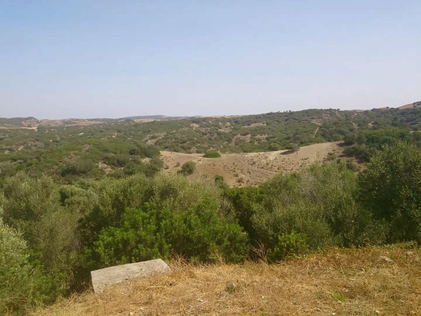Terreny rústic en venda a Medina Sidonia, imagen 24