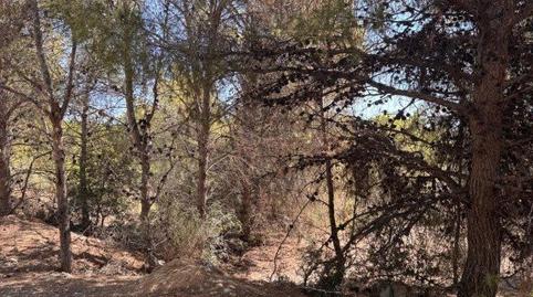 Foto 3 de Residencial en venda a N/a, -1, Golf Bahía, Alicante