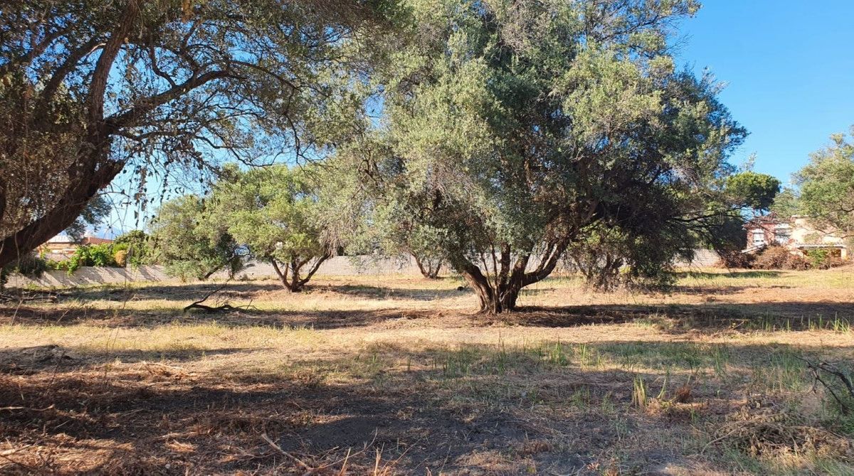 Land for sale in Marbella