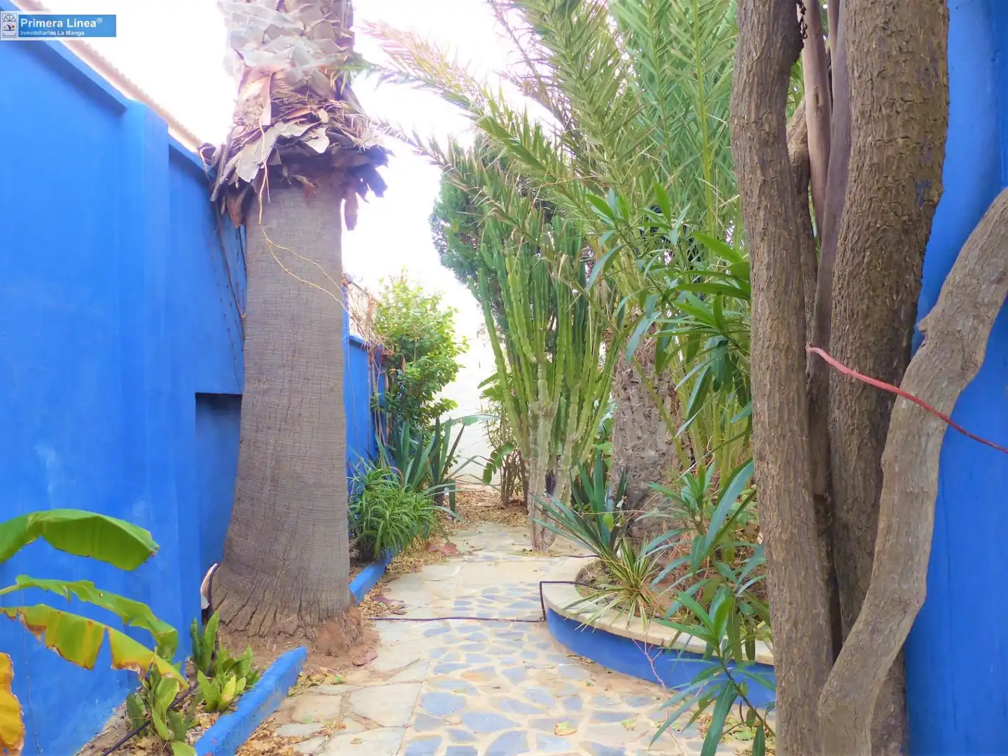 Jardín de Casa o chalet en venta en Cartagena con Calefacción, Jardín privado y Parquet