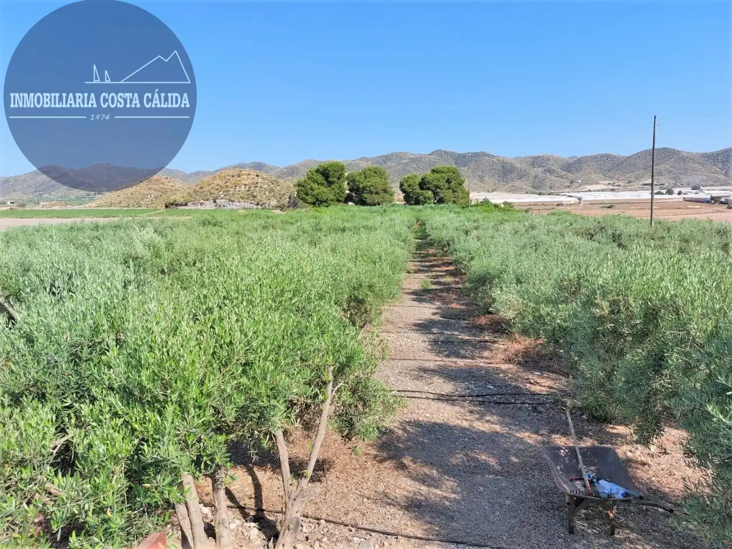Finca rústica en venta en Águilas con Jardín privado, Terraza y Trastero
