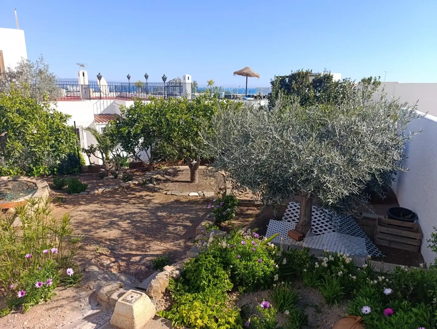 Detached house with terrace for sale in El Palmeral, imagen 6