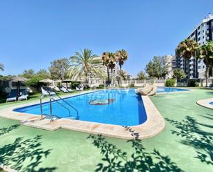 Swimming pool of Flat to rent in Alicante / Alacant  with Air Conditioner, Terrace and Balcony