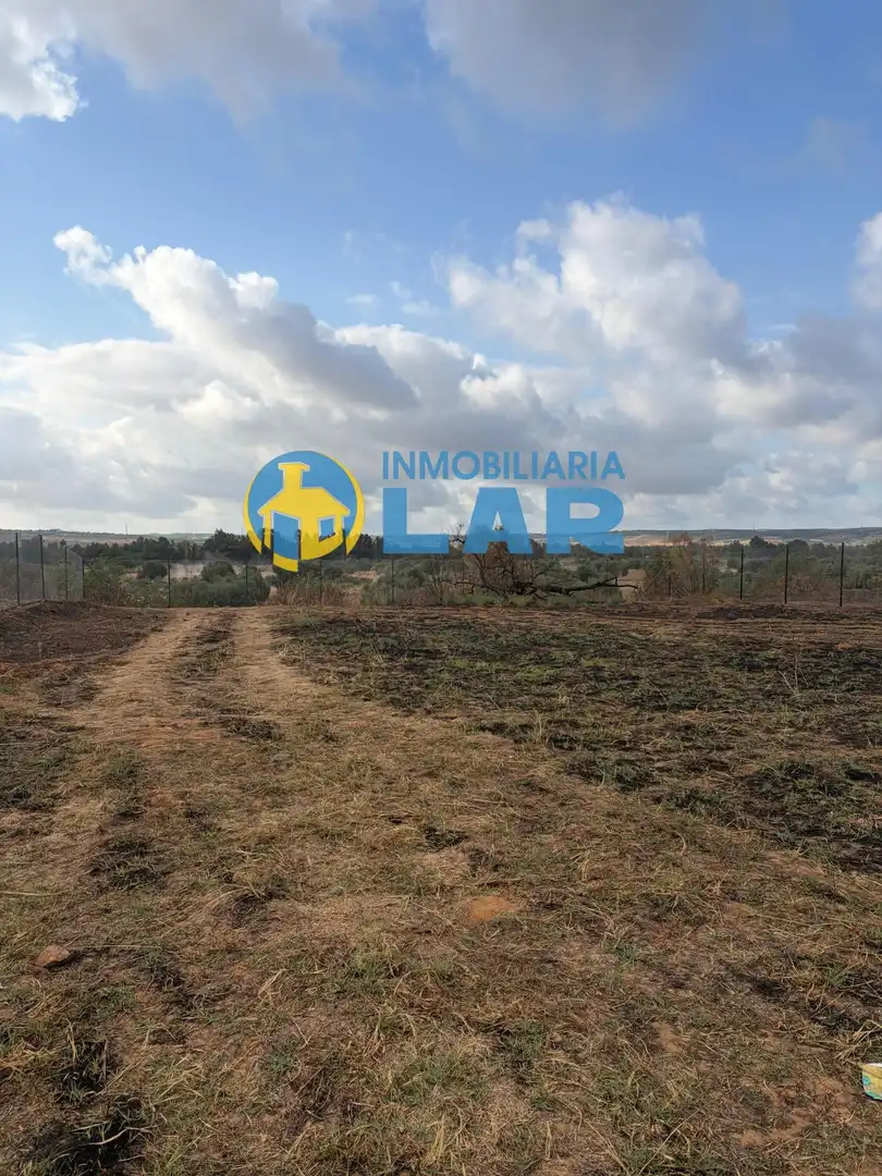 Land for sale in Niebla