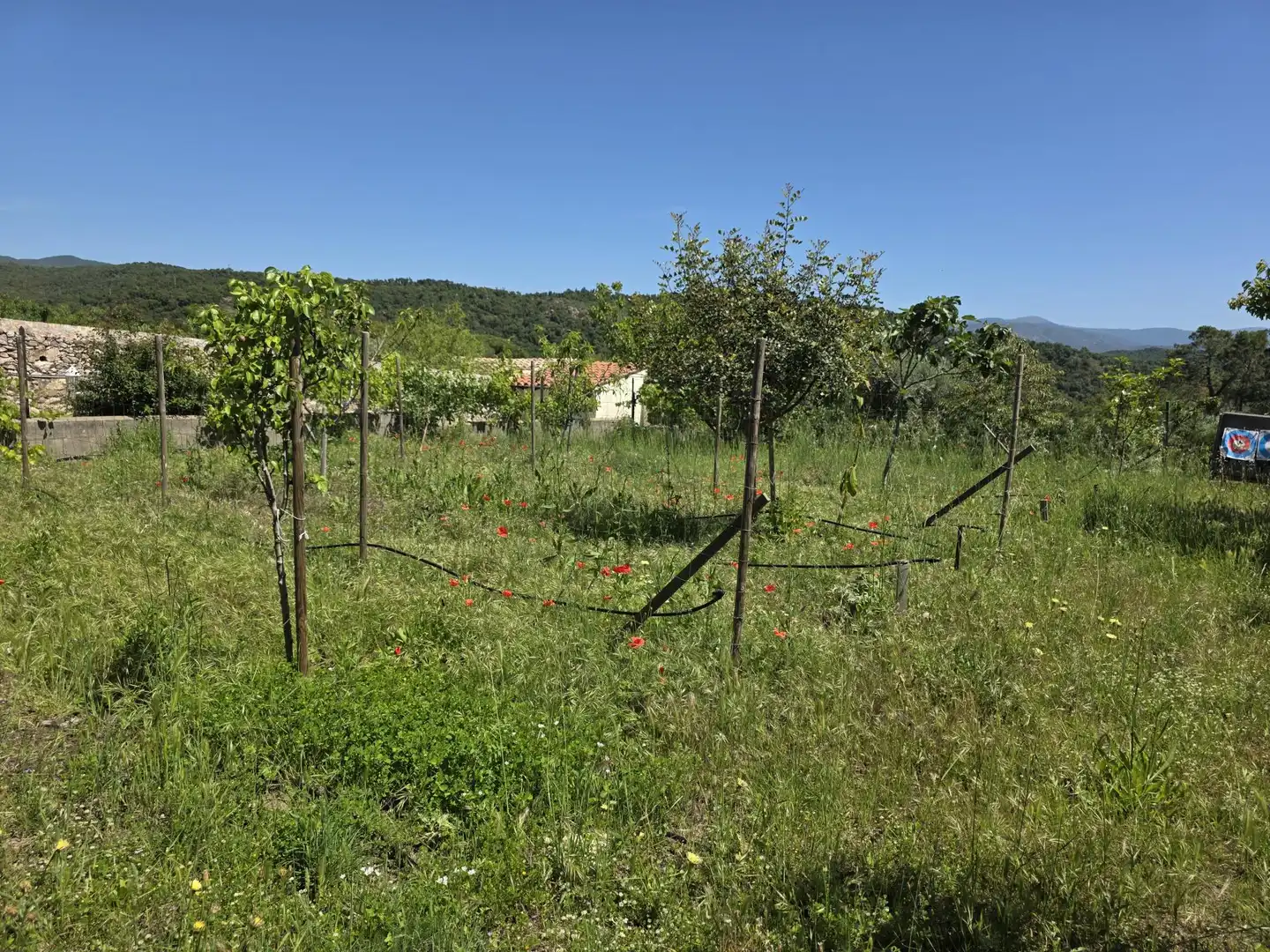 Finca rústica en venta en Darnius con Calefacción, Jardín privado y Terraza