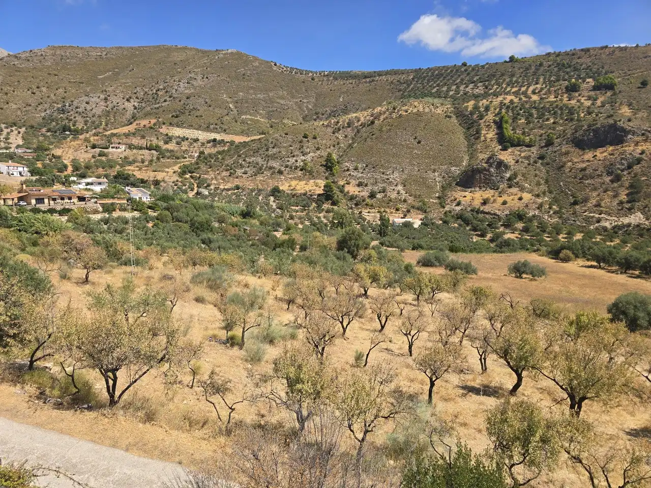 House for sale in Alcaucín, imagen 14