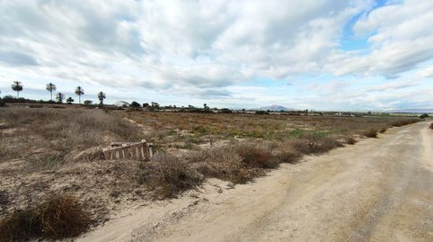 BONITA PARCELA CON VISTAS EN VENTA EN EL MOLAR, ELCHE Amplia parcela en venta en EL MOLAR, ELCHE Una increÃble oportunidad de adqu, imatge 3