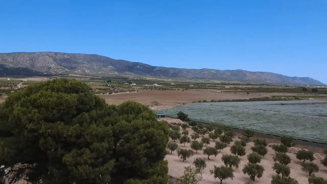 Haus zum Verkauf in El Pinós / Pinoso, imagen 5