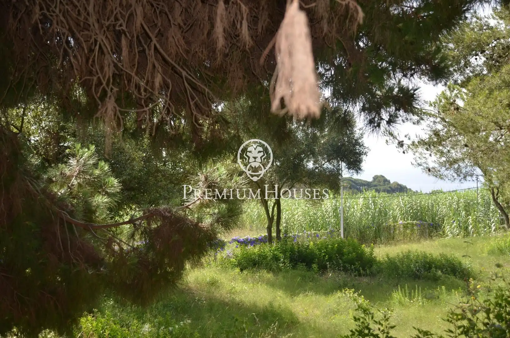 Residential land for sale in Cabrera de Mar, imagen 12