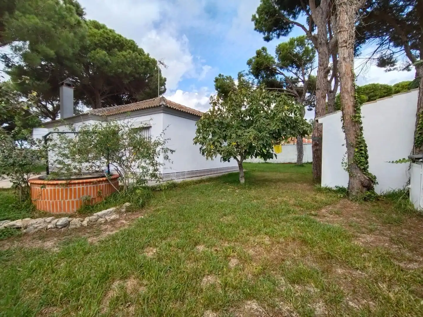 Jardí de Casa o xalet en venda en Chiclana de la Frontera amb Jardí privat i Terrassa