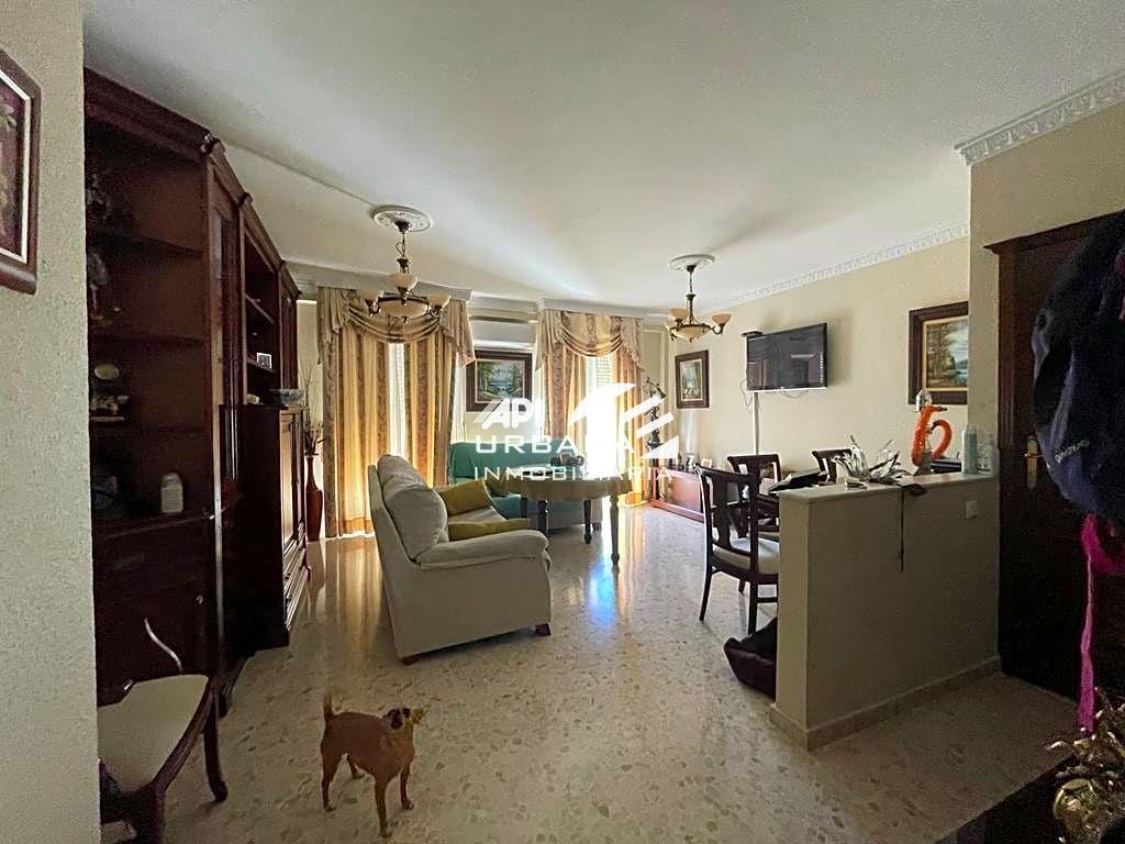 Sala d'estar de Dúplex en venda en Lucena amb Traster i Balcó