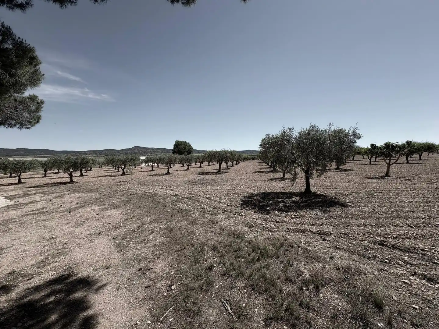 Houses for sale in Almansa  with Heating, Swimming Pool and Furnished