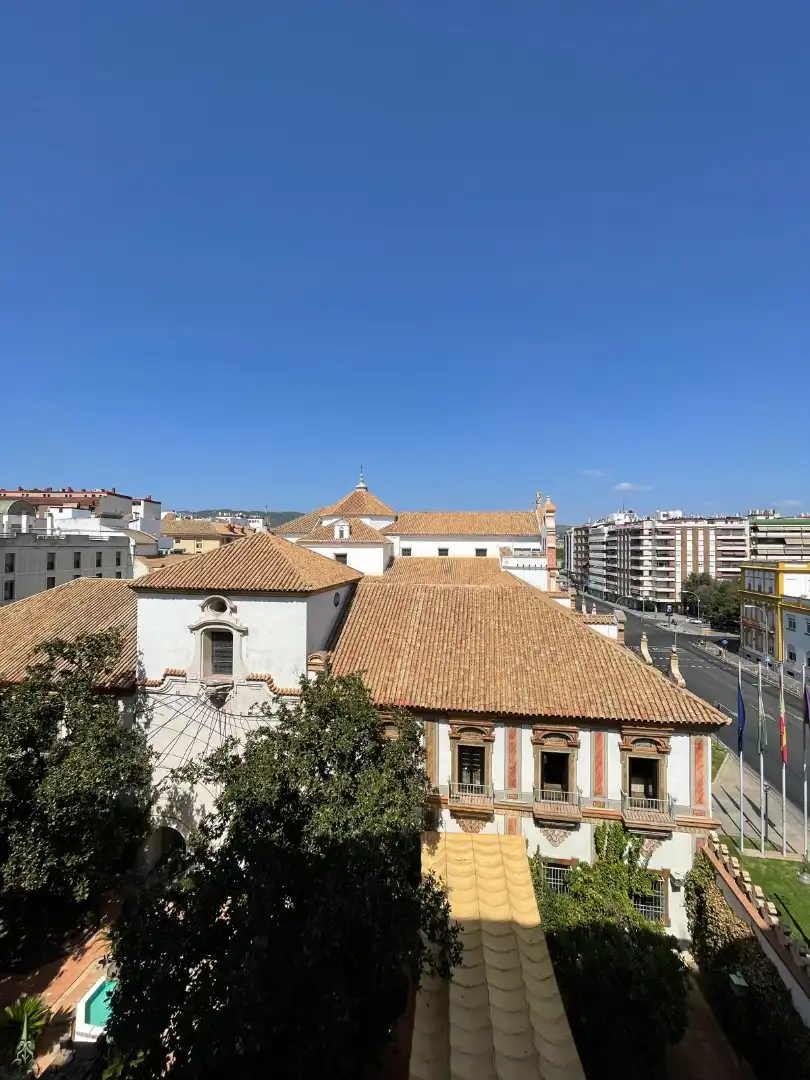 Pis amb terrassa en venda a Plaza de Colón, imagen 25