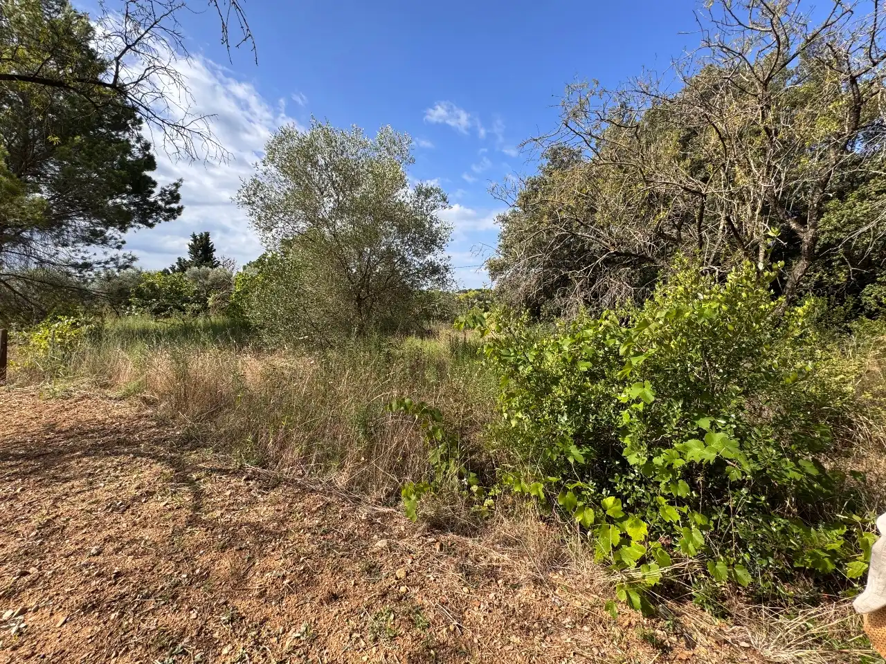 Casa o xalet en venda en Corçà amb Calefacció, Jardí privat i Forn