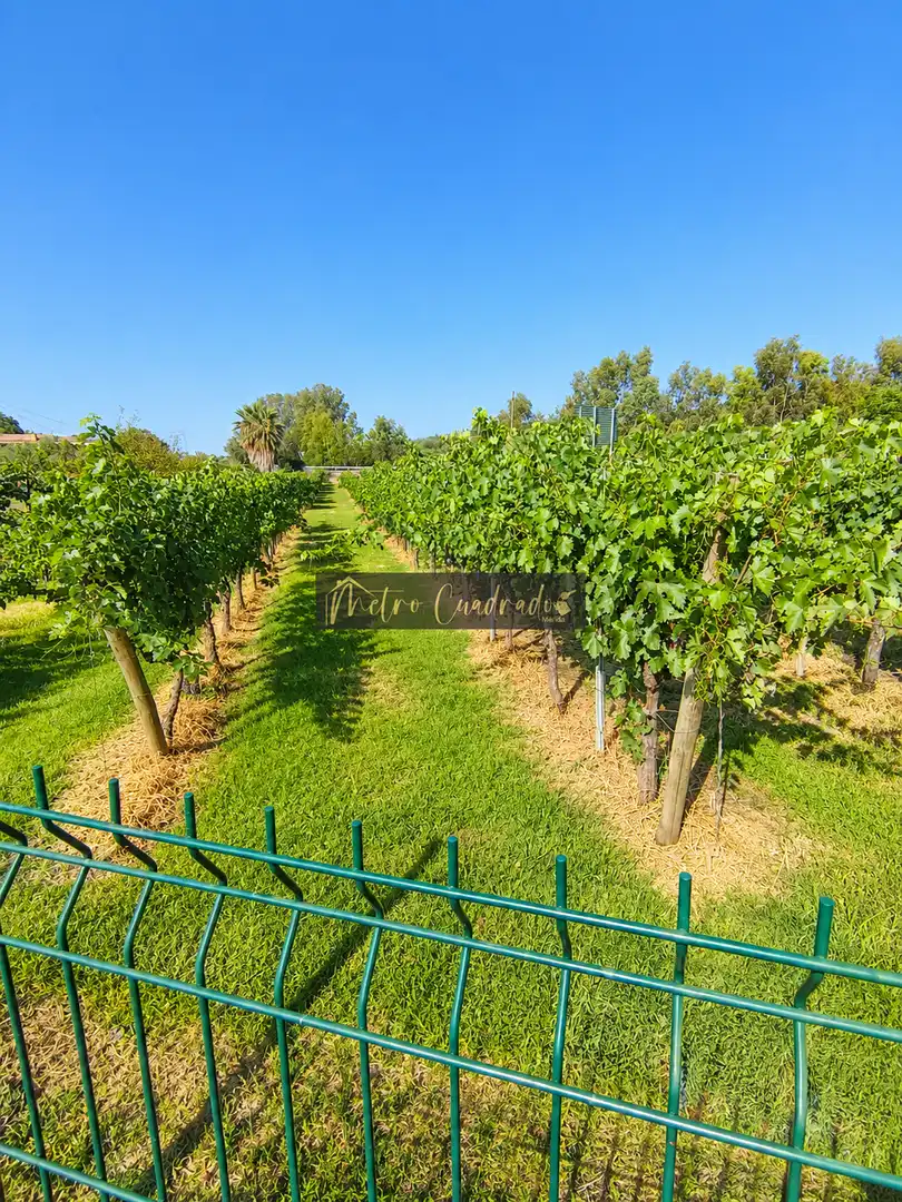 Finca rústica en venta en Alcuéscar con Terraza y Trastero