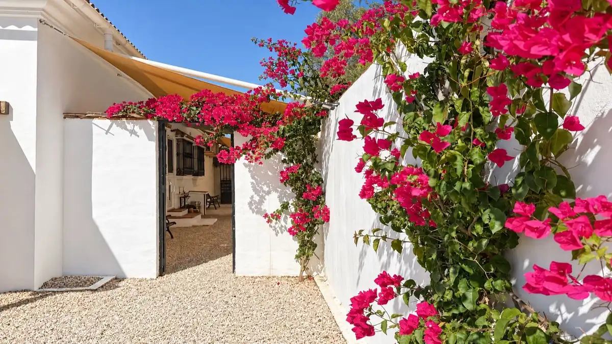 Jardí de Casa o xalet en venda en Colmenar amb Aire condicionat, Jardí privat i Terrassa