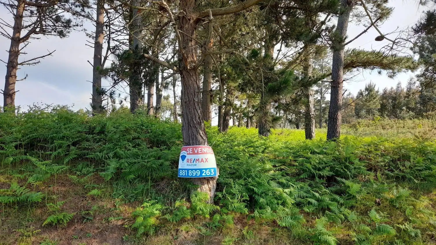 Rural land for sale in Lugar Val Arriba 3