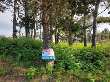 Rural land for sale in Lugar Val Arriba 3
