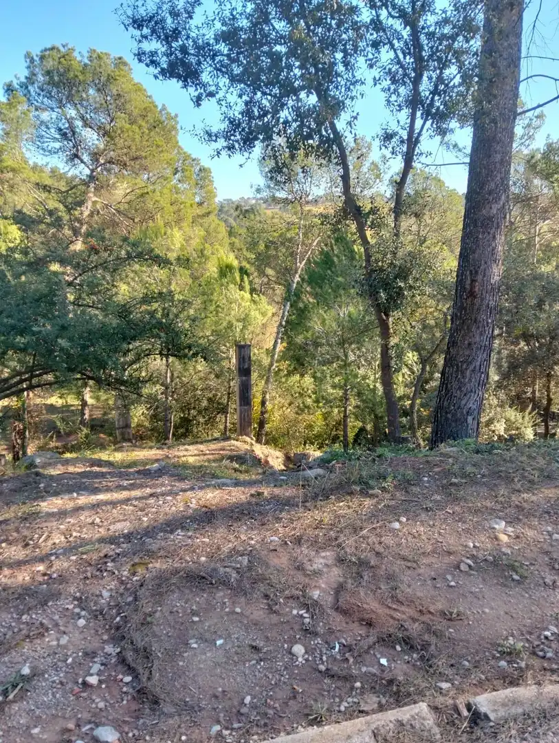 Terrenys i solars en venda a Castellnou de Bages, imagen 2