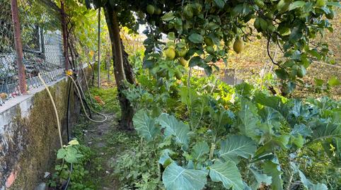 Photo 5 of Flat for sale in Covelo, Pontevedra