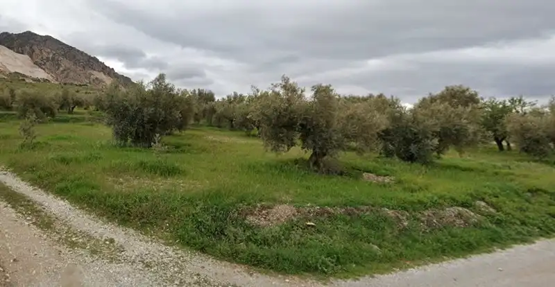 Rural land for sale in Dúrcal, imagen 7
