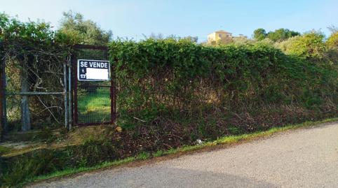 Foto 4 de Finca rústica en venta en Sur, Badajoz