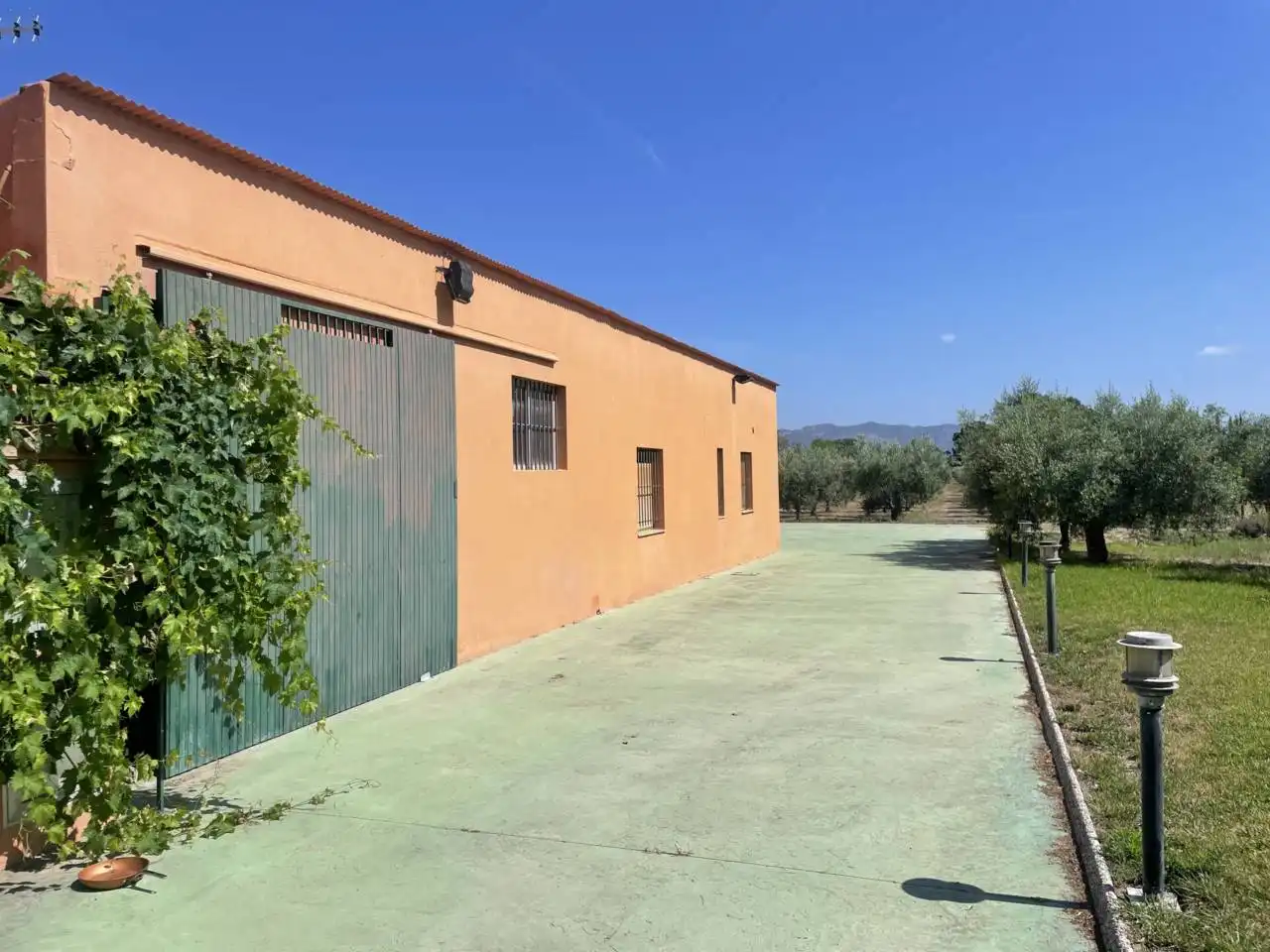 Vista exterior de Casa o chalet en venta en Móra d'Ebre con Aire acondicionado, Calefacción y Jardín privado