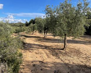 Land for sale in Granyena de les Garrigues